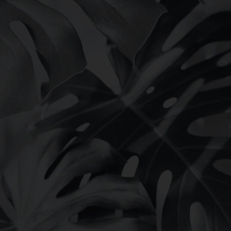 Opalanie natryskowe by Daga